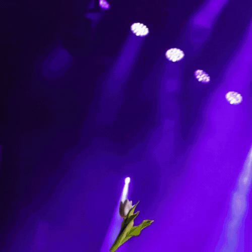 Cuplikan di balik layar dari Kim Hojoong