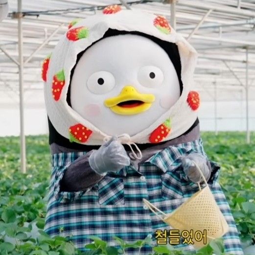 Momen yang diabadikan oleh penggemar Pengsoo