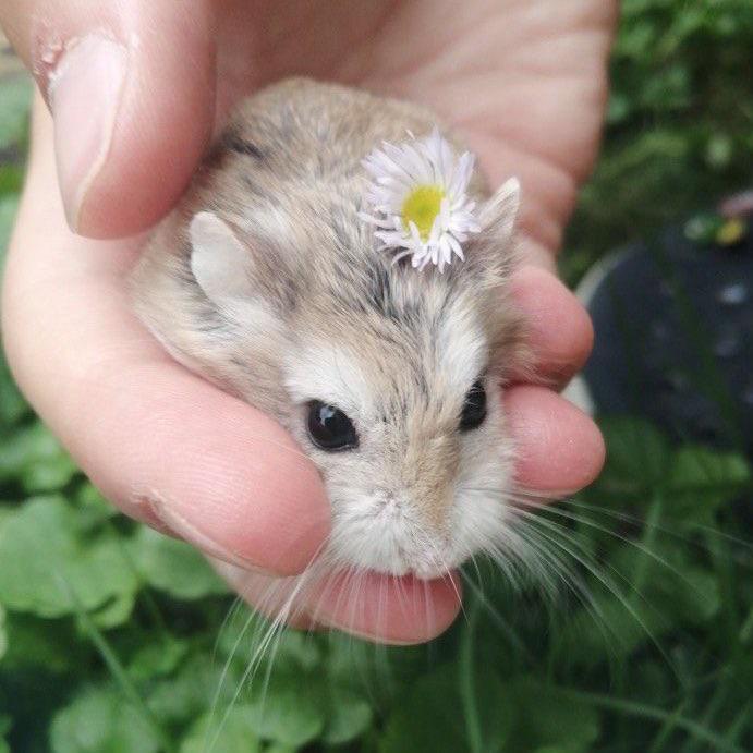 Behind-the-scenes cut of Key