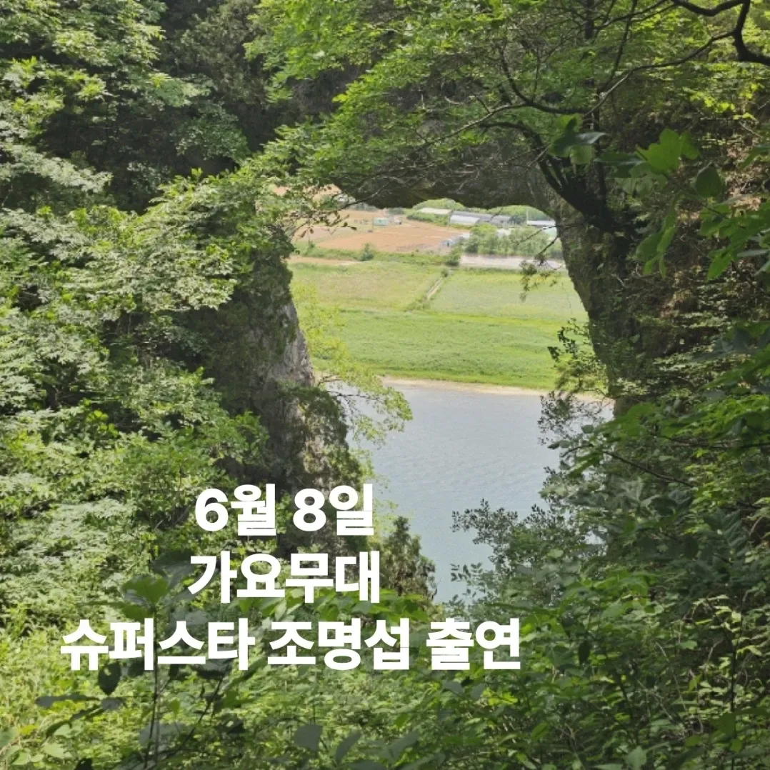 조명섭 팬이 찍은 순간