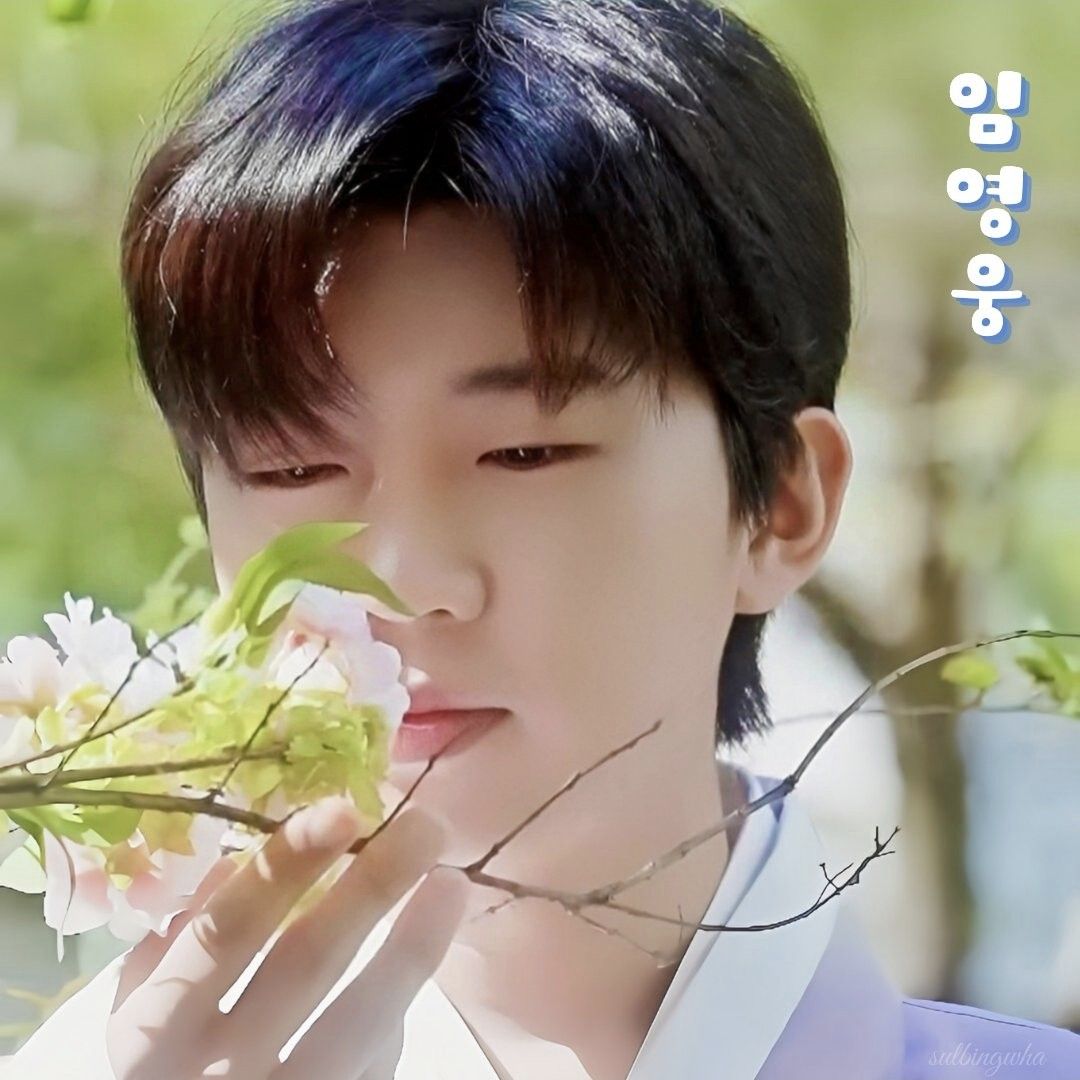 임영웅 팬이 찍은 순간