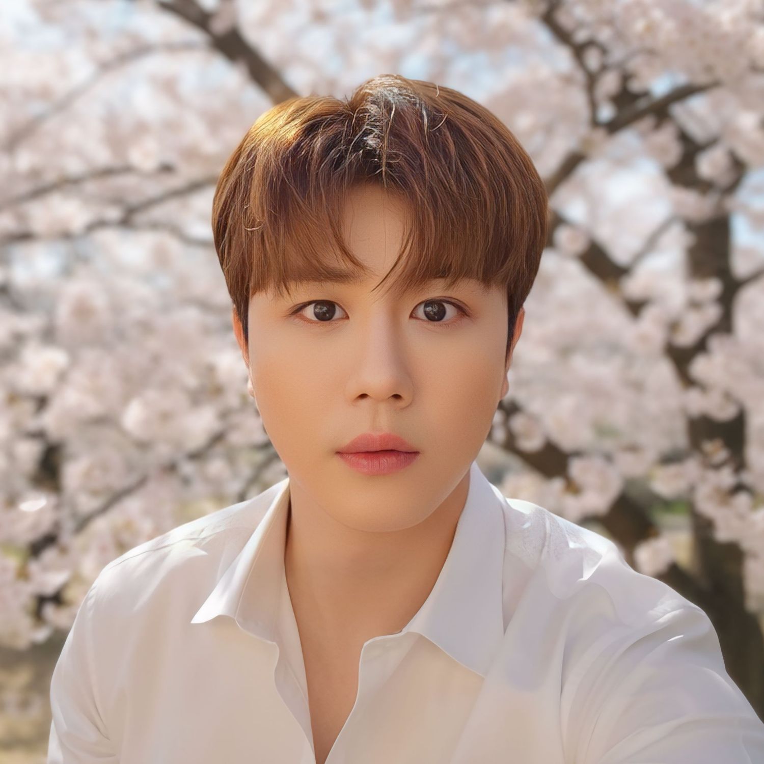 A moment captured by a fan of Jin Haesung