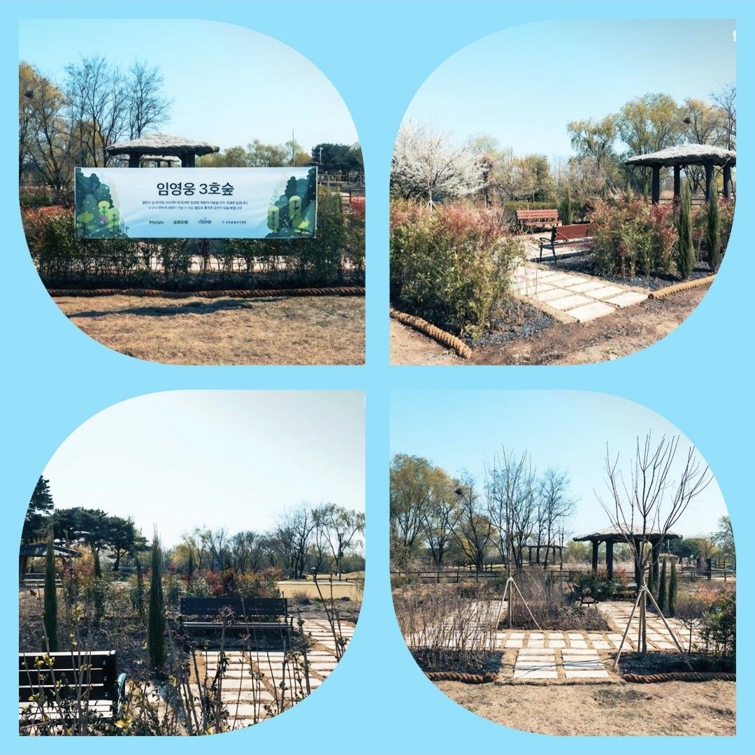 Foto kegiatan terbaru dari Lim Youngwoong