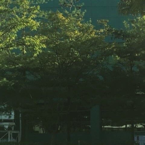 Recent activity shot of Park Seoham