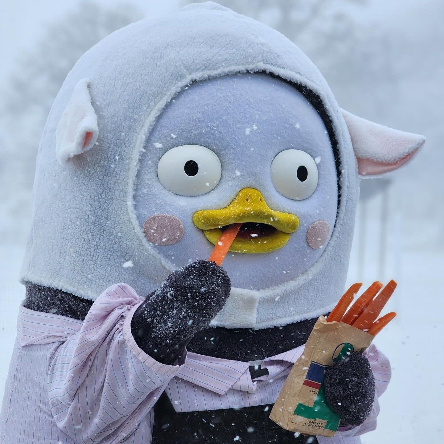 Cuplikan di balik layar dari Pengsoo