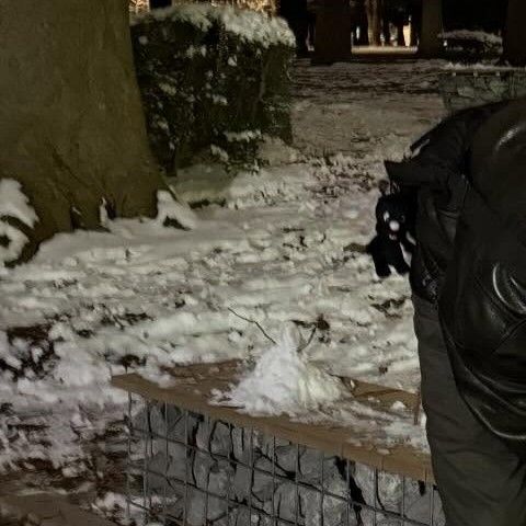 Recent activity shot of Park Seoham