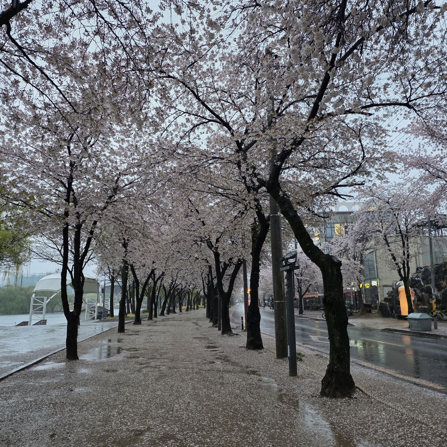 Foto terbaru dari Lee Chanwon