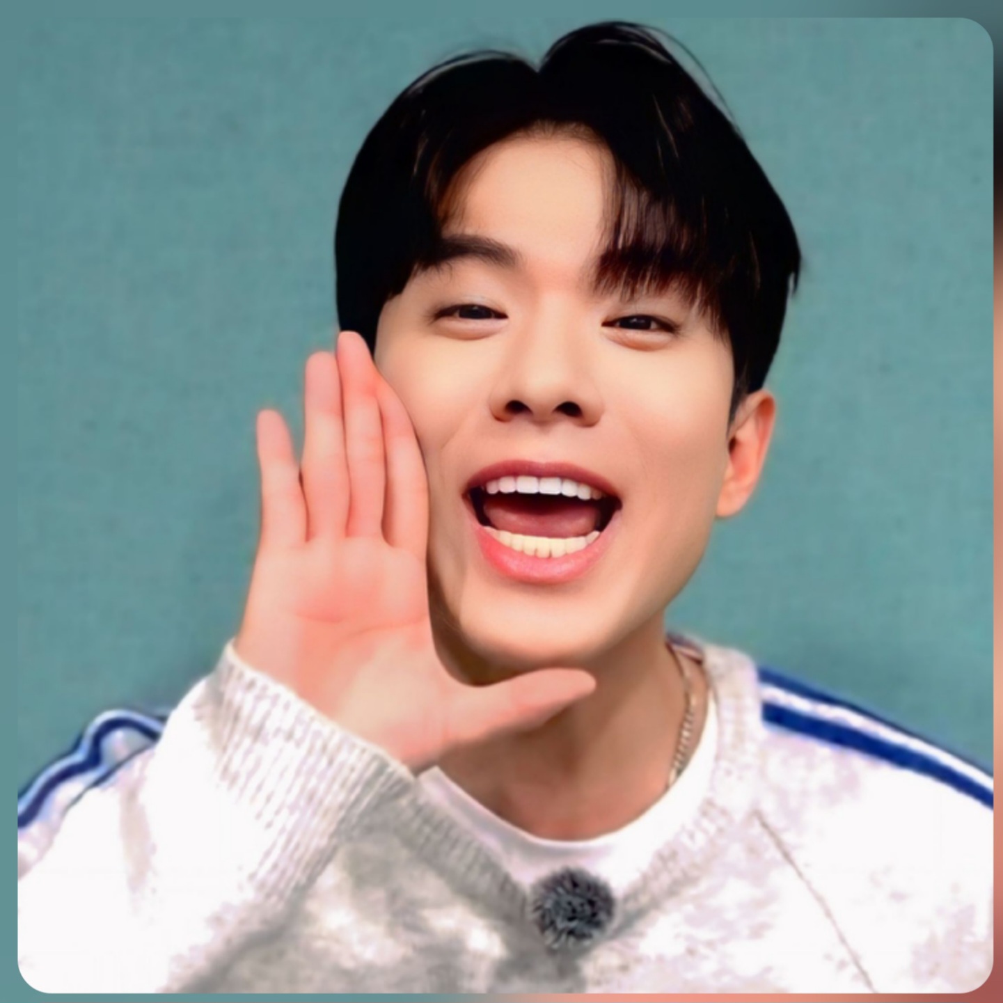 羅泰柱的近期活動照