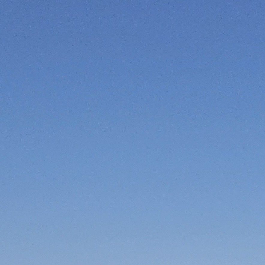 金浩中的最新照片