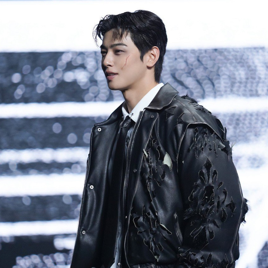 A moment captured by a fan of Cha Eunwoo