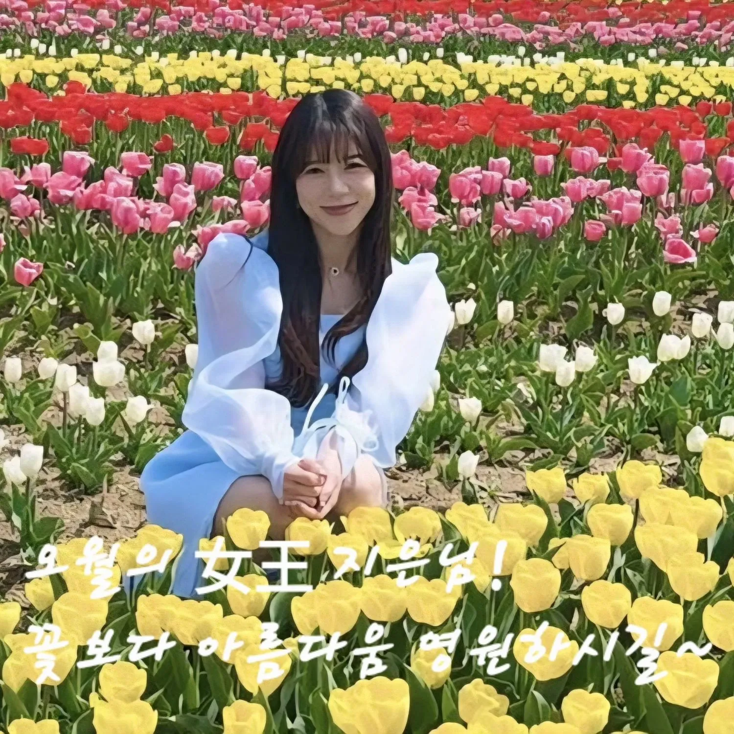 楊志恩的最新照片