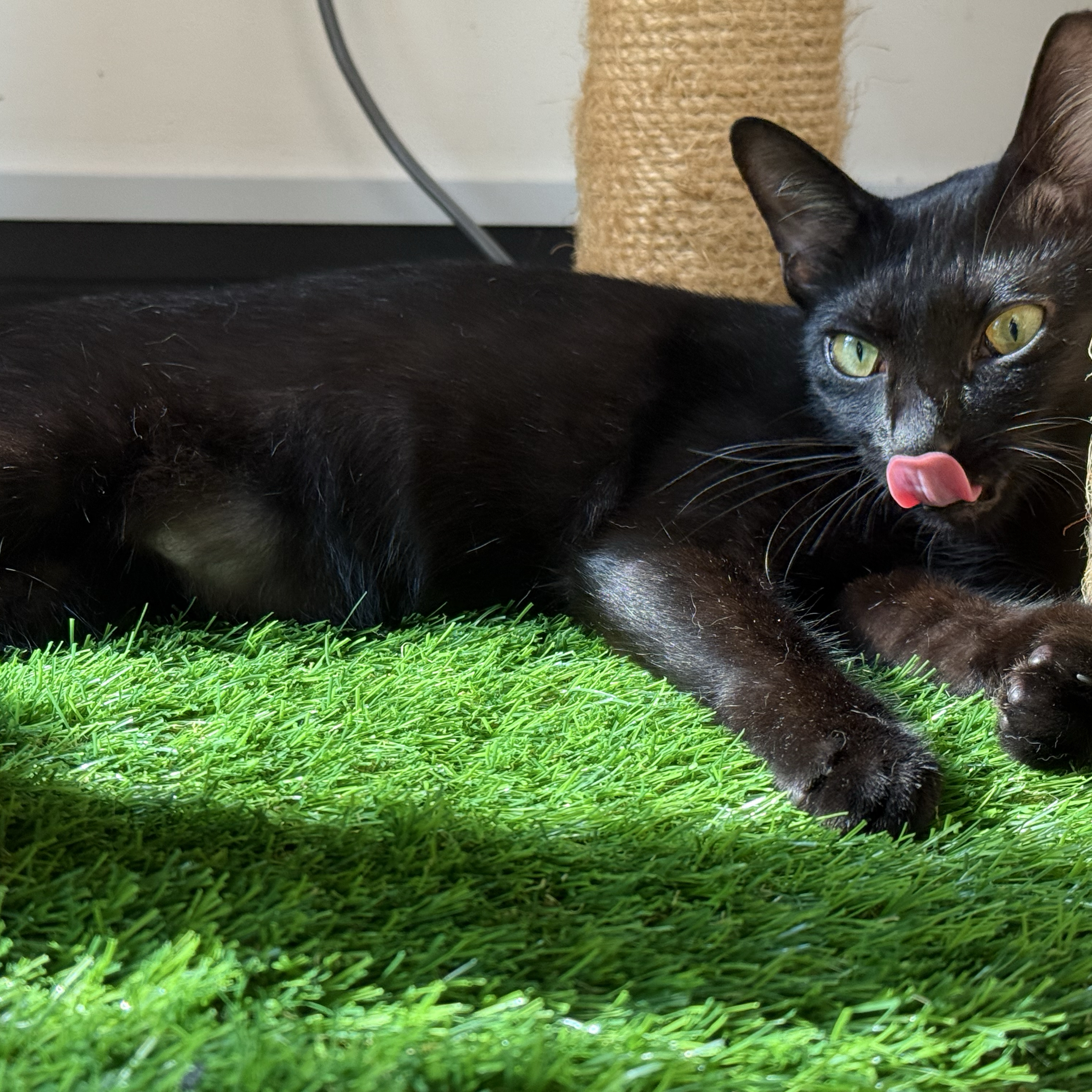 Momen yang diabadikan oleh penggemar Song Jihyo