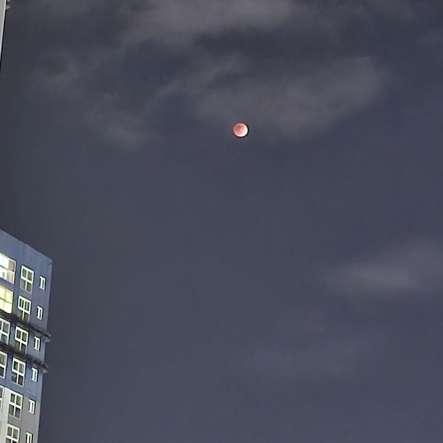 粉絲拍下的晉海成瞬間