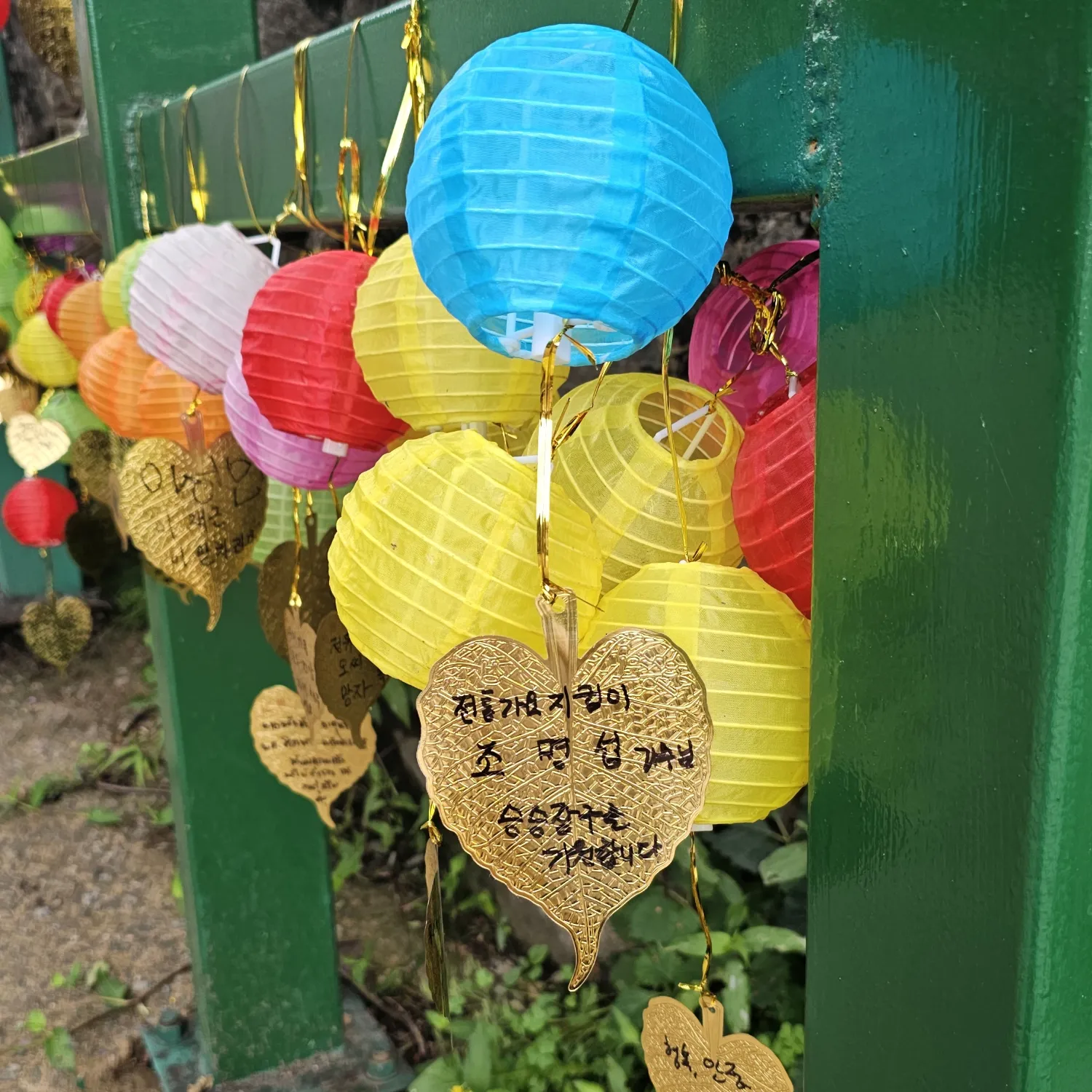 赵明燮的近期活动照