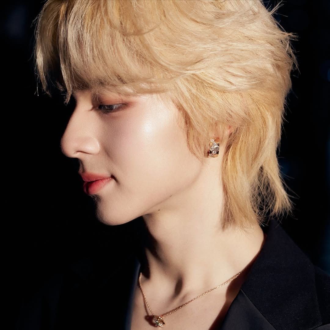 Recent activity shot of NuNew