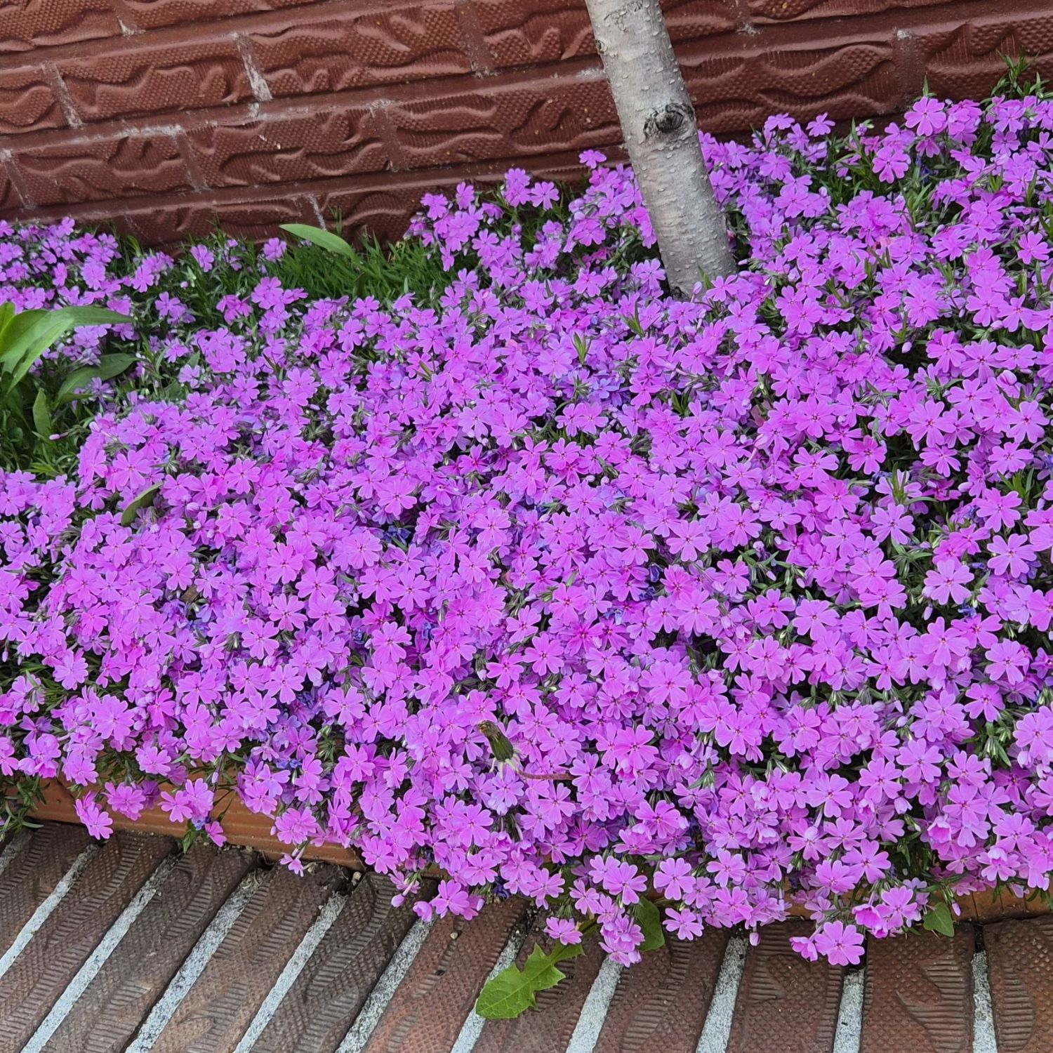 金浩中的近期活动照