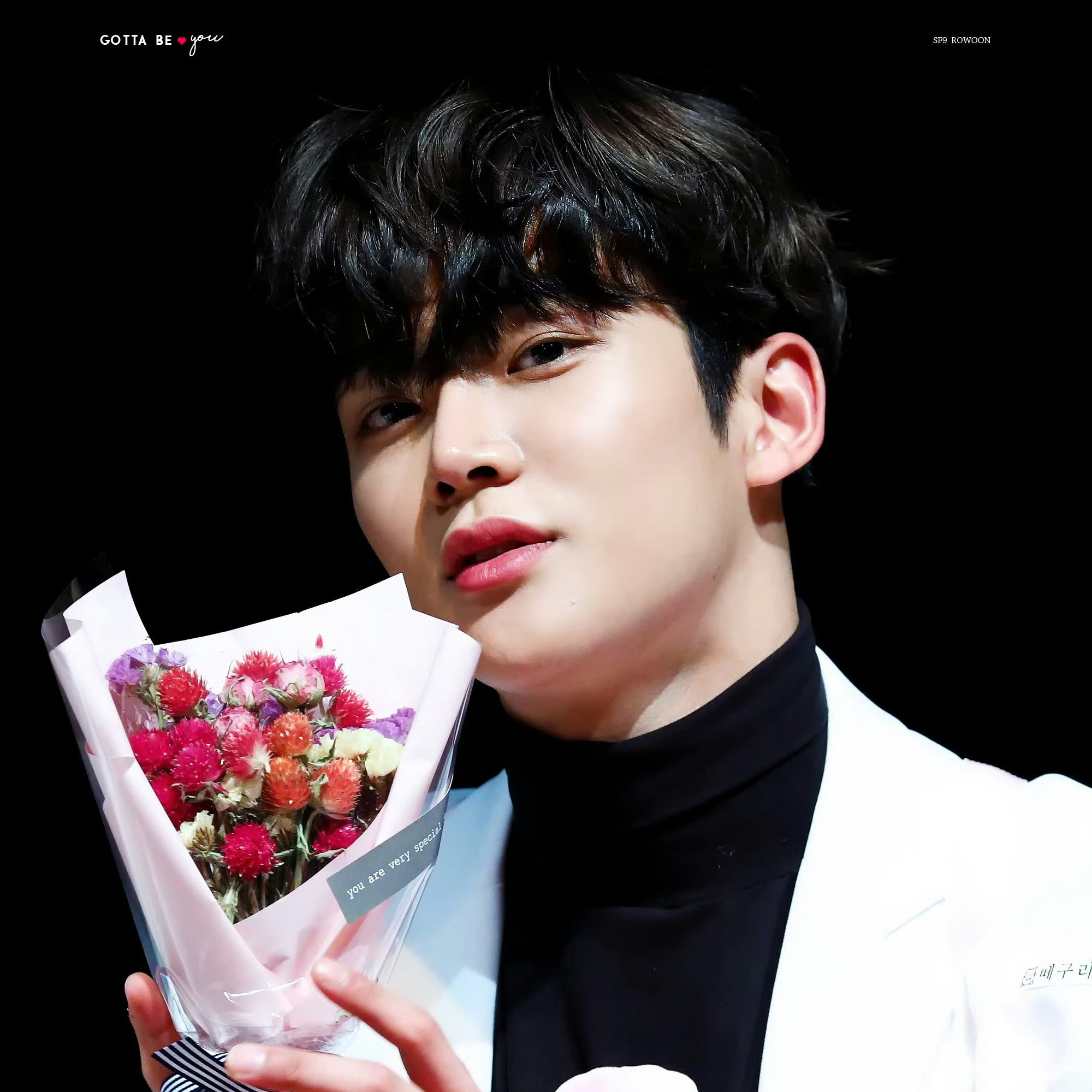 路云的最新照片