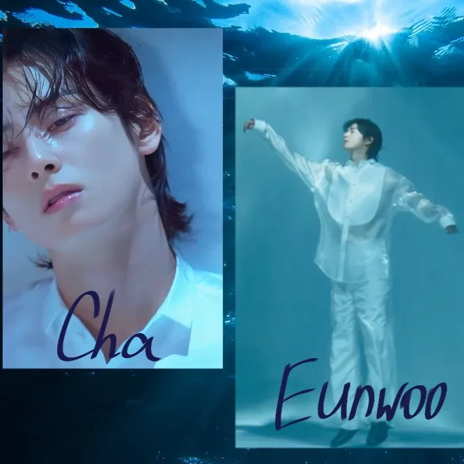 Recent activity shot of Cha Eunwoo