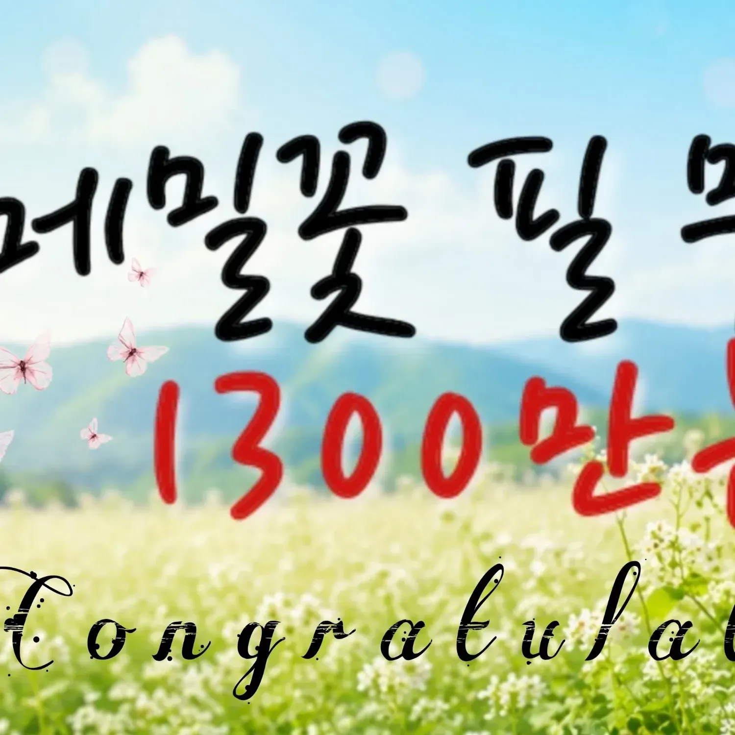 이찬원의 최신 사진