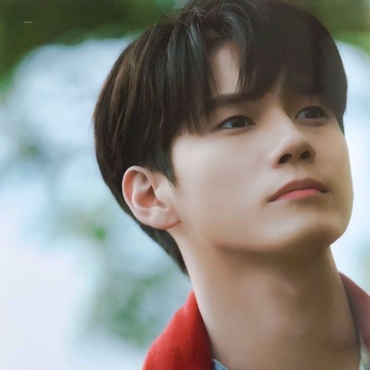 옹성우의 최신 사진