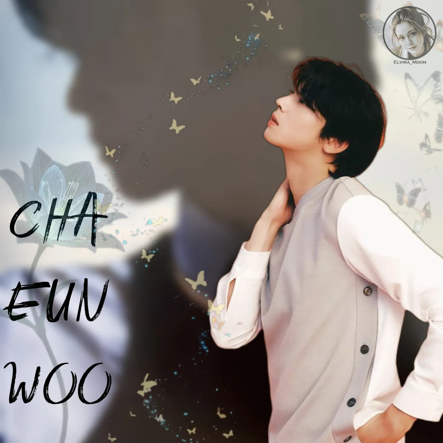 A moment captured by a fan of Cha Eunwoo
