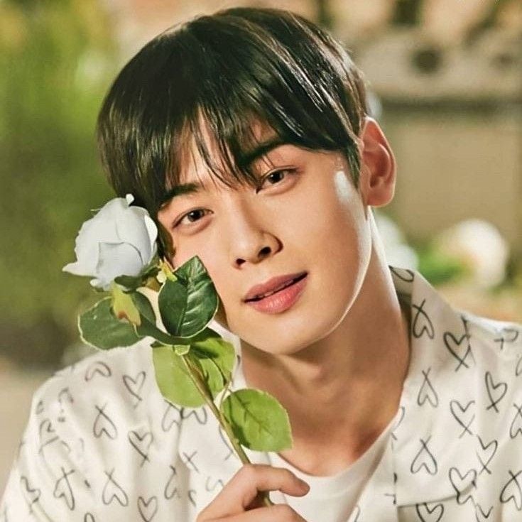 車銀優的近期活動照