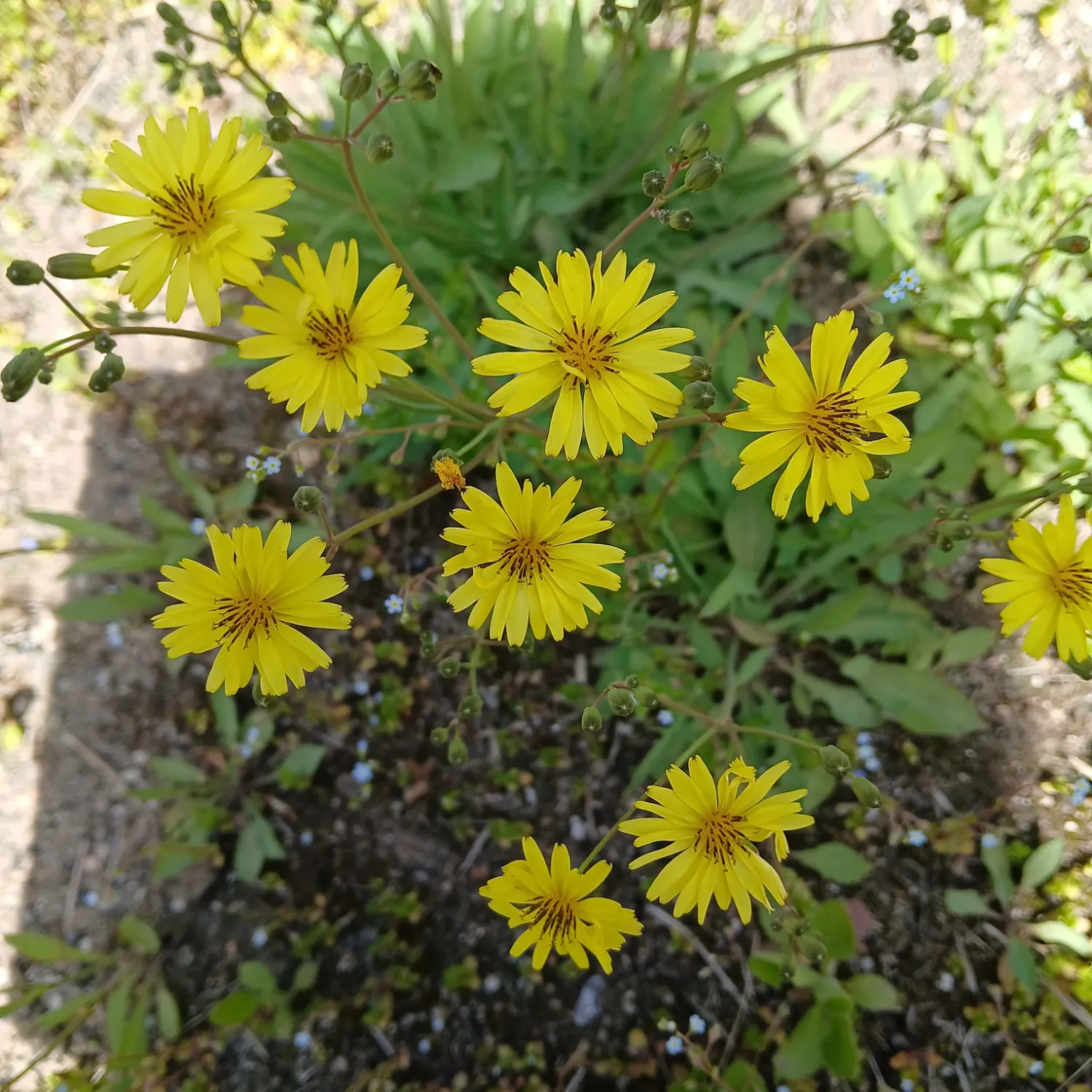 朴瑞鎮的最新照片