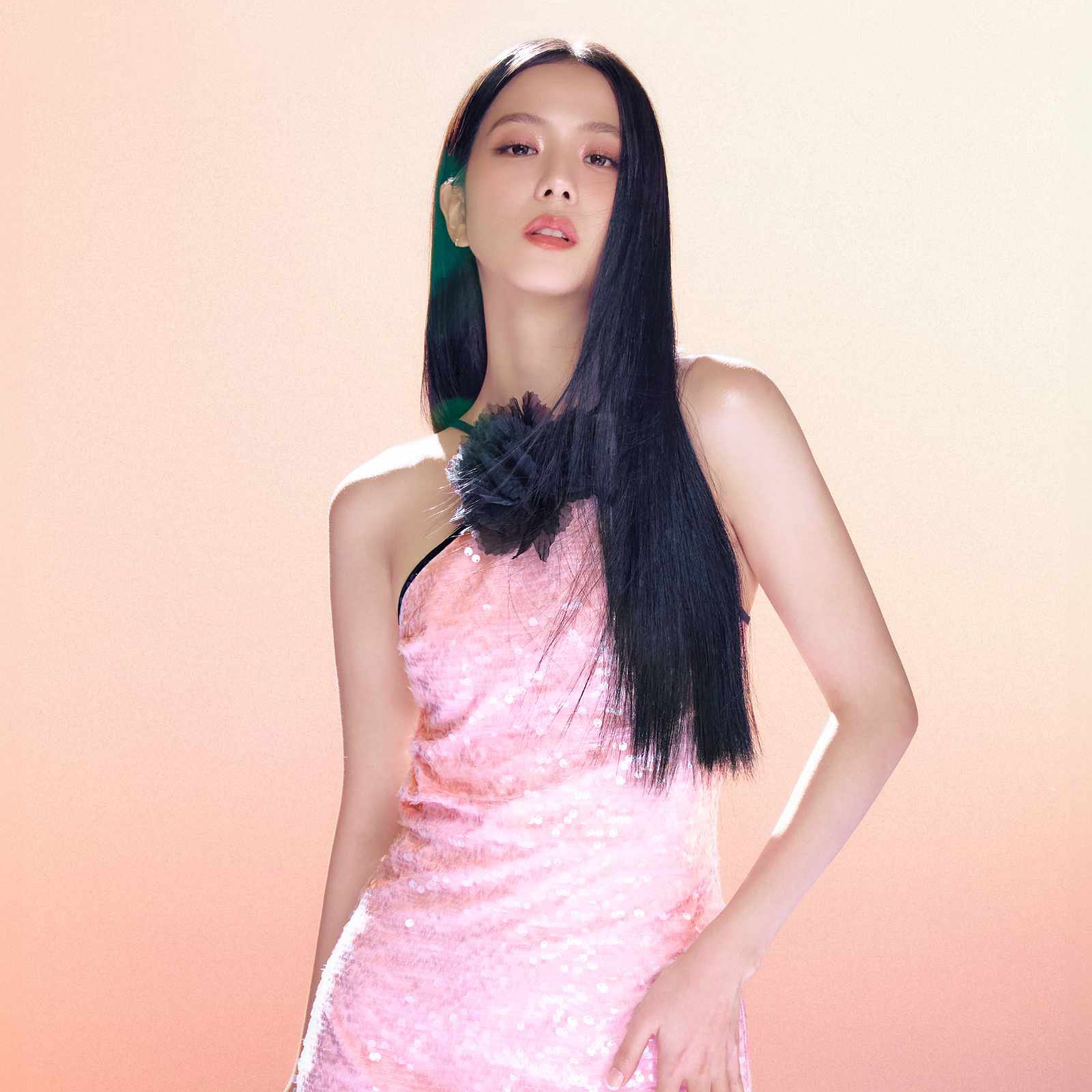 A moment captured by a fan of Jisoo (1995)
