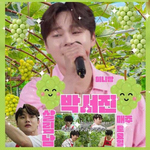 박서진 팬이 찍은 순간