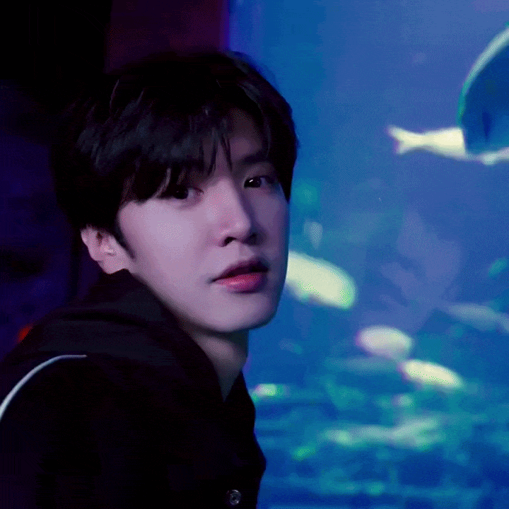 陳哲遠的近期活動照