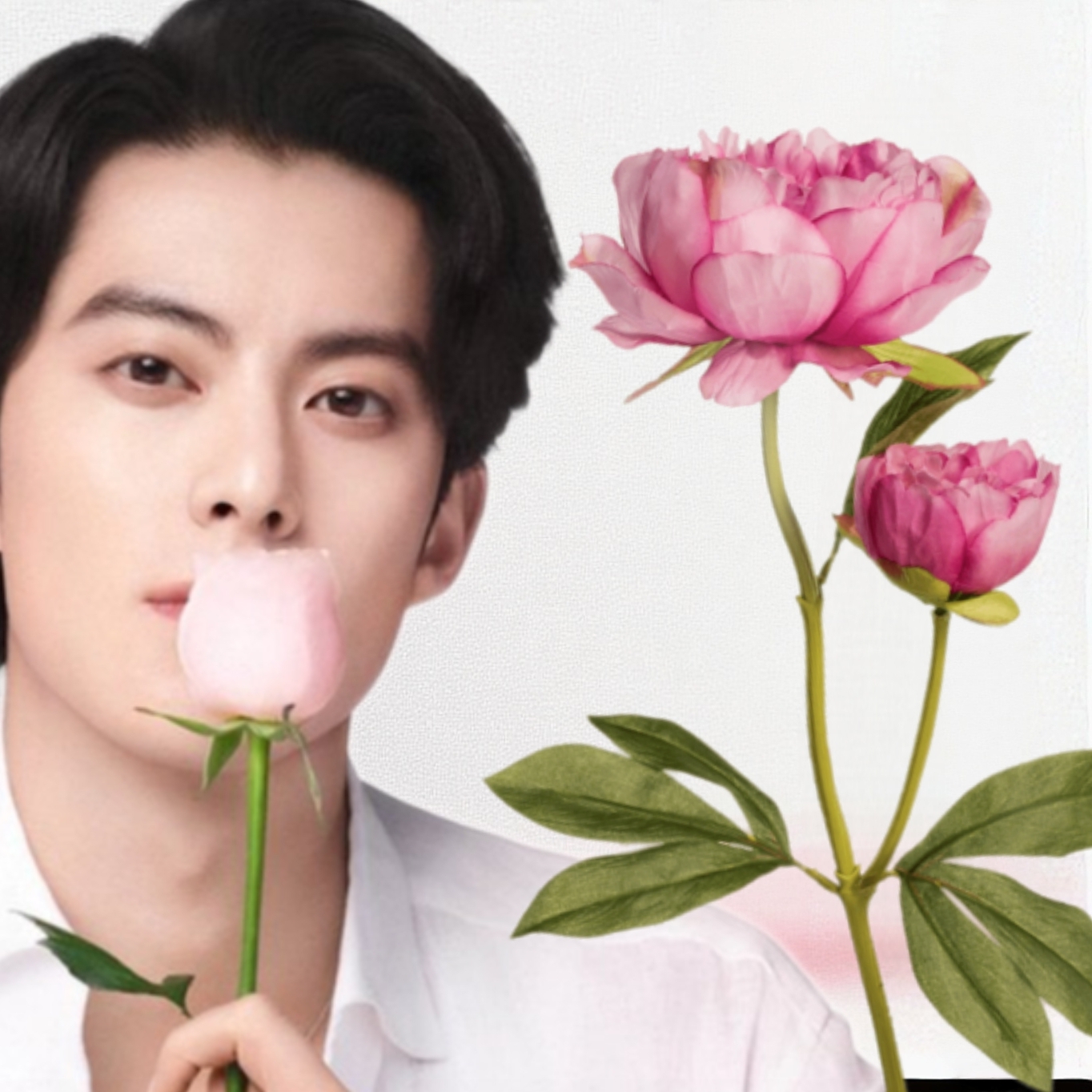 Recent activity shot of Dylan Wang