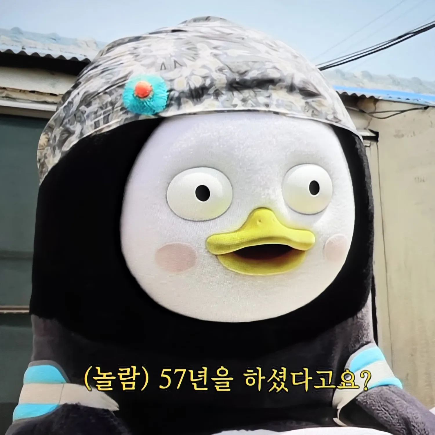 펭수 팬이 찍은 순간