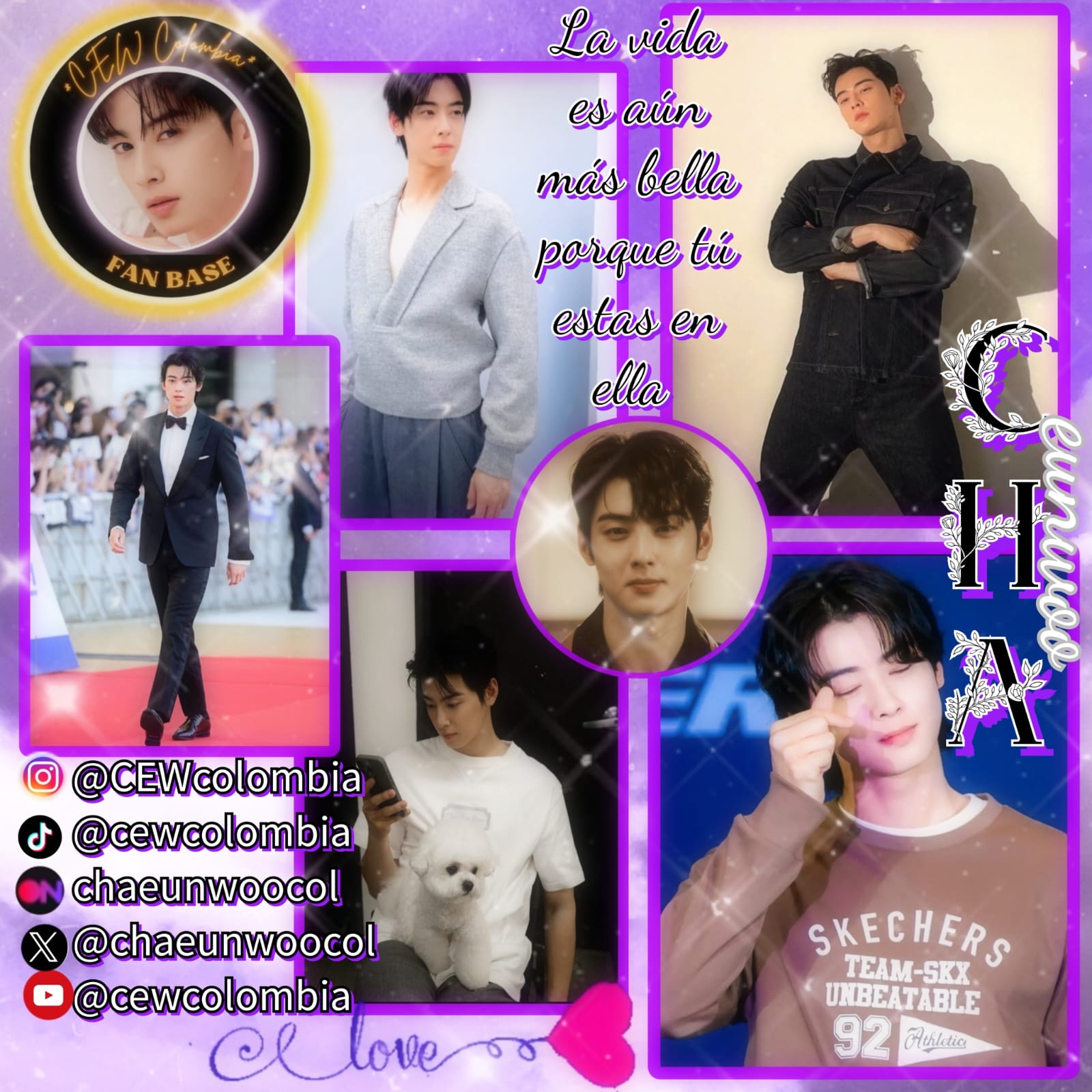Recent activity shot of Cha Eunwoo