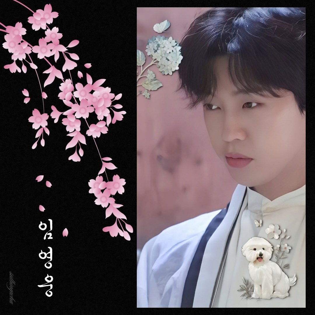 임영웅의 최신 사진