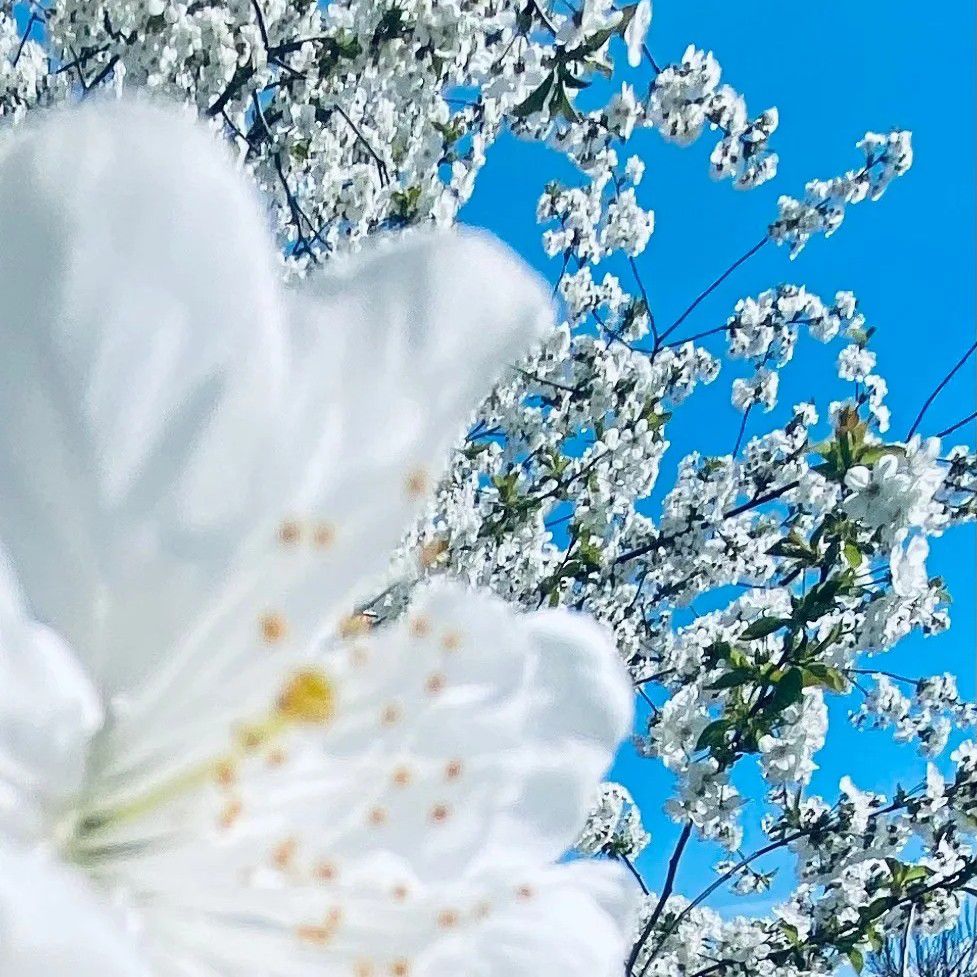 Behind-the-scenes cut of Park Yoochun