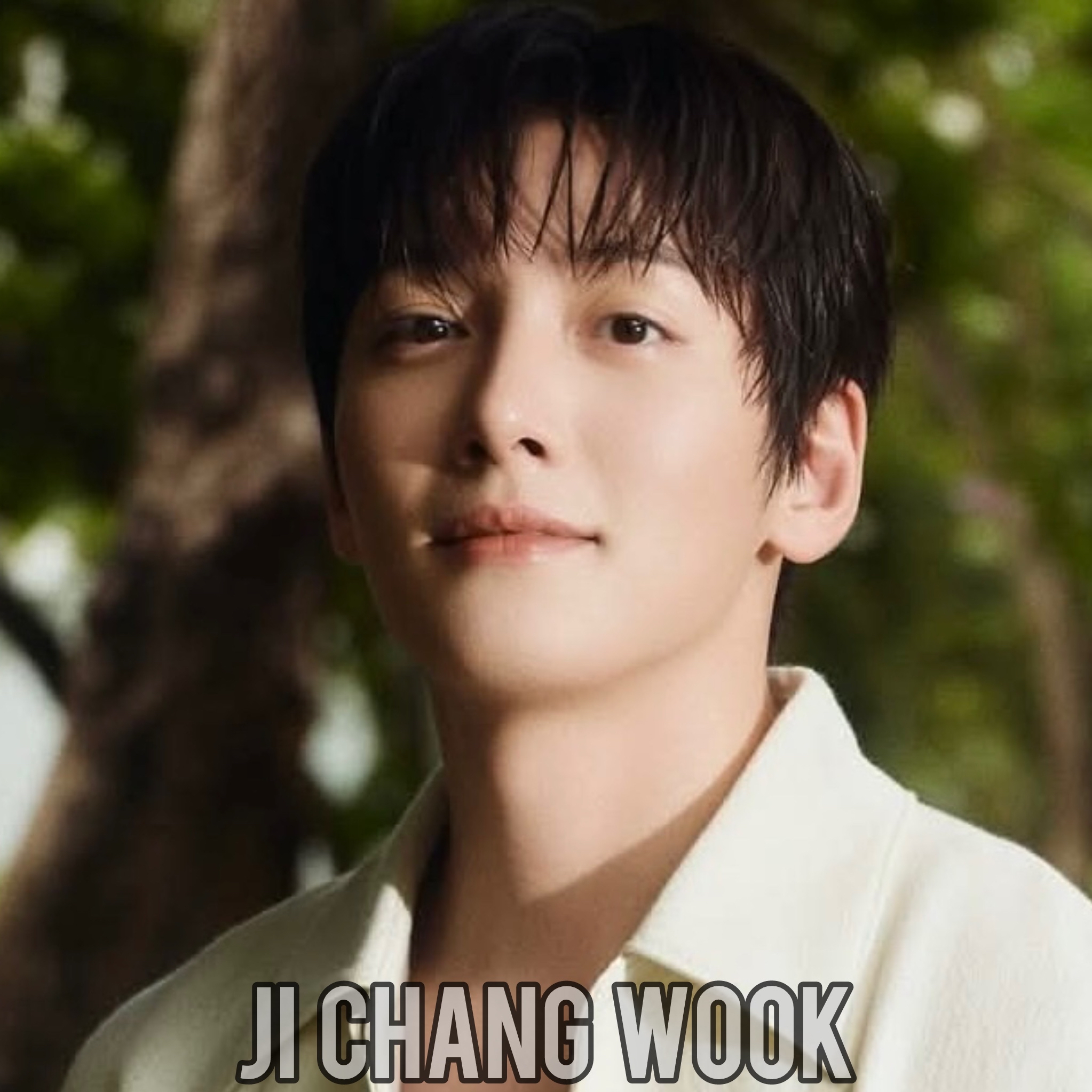 Recent activity shot of Ji Changwook