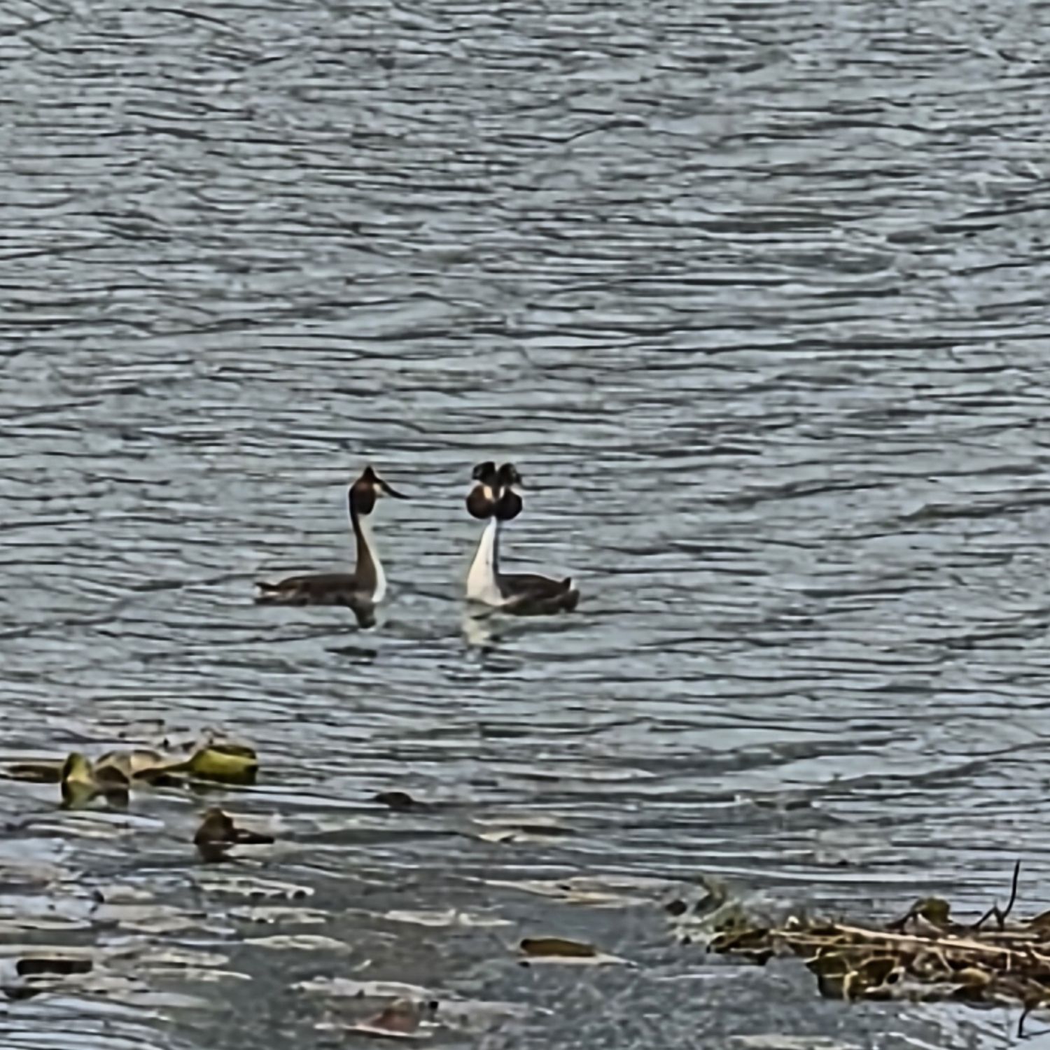 Foto kegiatan terbaru dari Kim Hojoong