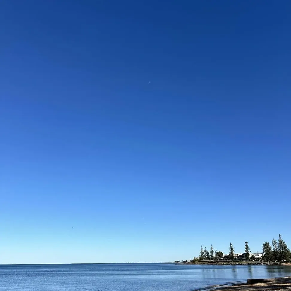장혜리 팬이 찍은 순간