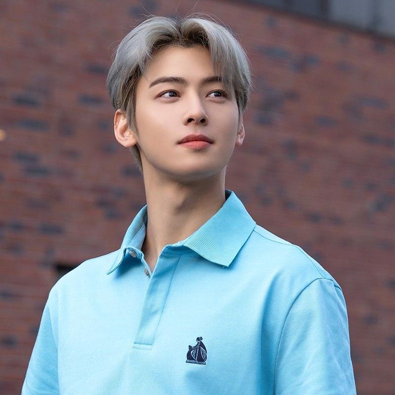 Behind-the-scenes cut of Cha Eunwoo