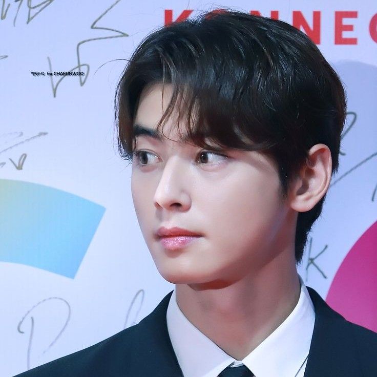 粉絲拍下的車銀優瞬間