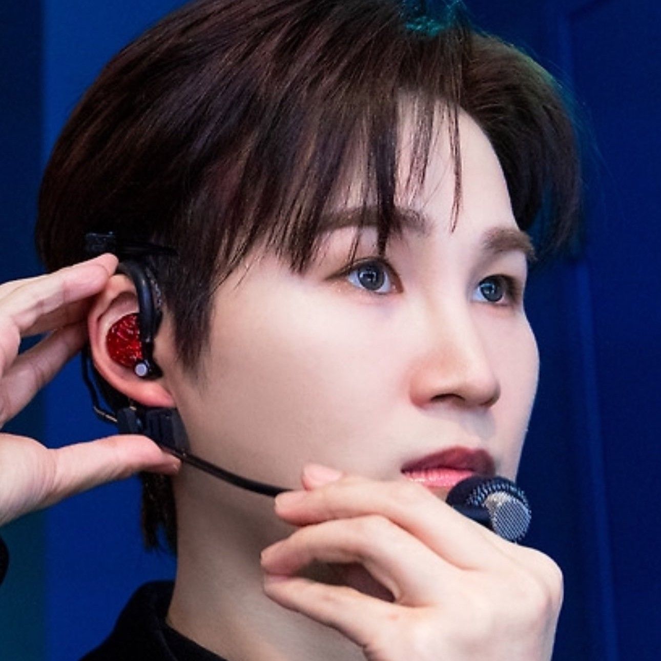 金熙栽的幕后花絮