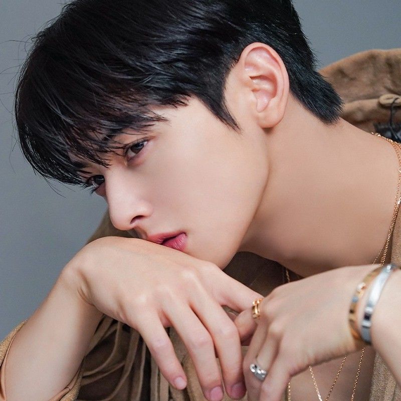 A moment captured by a fan of Cha Eunwoo