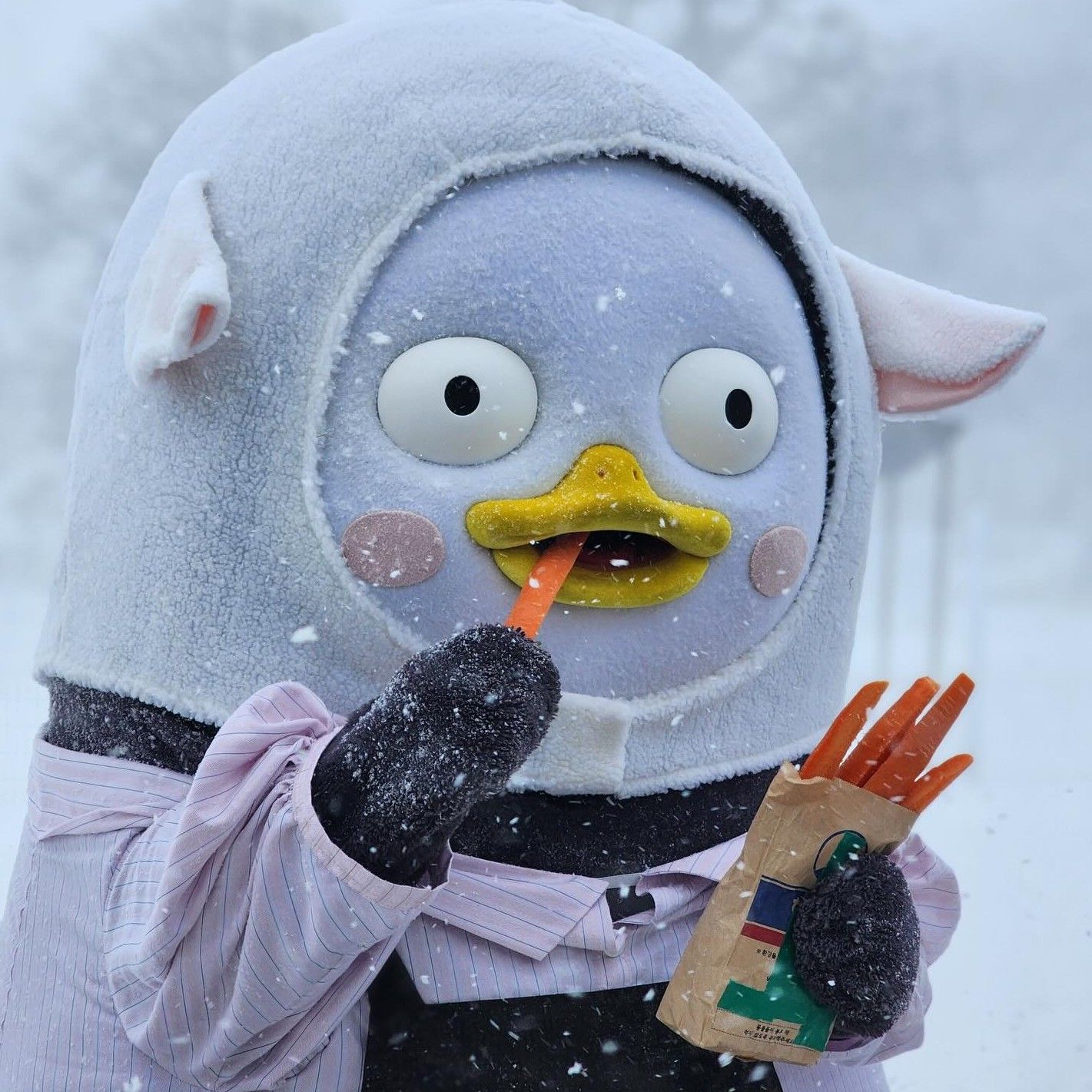 Foto kegiatan terbaru dari Pengsoo