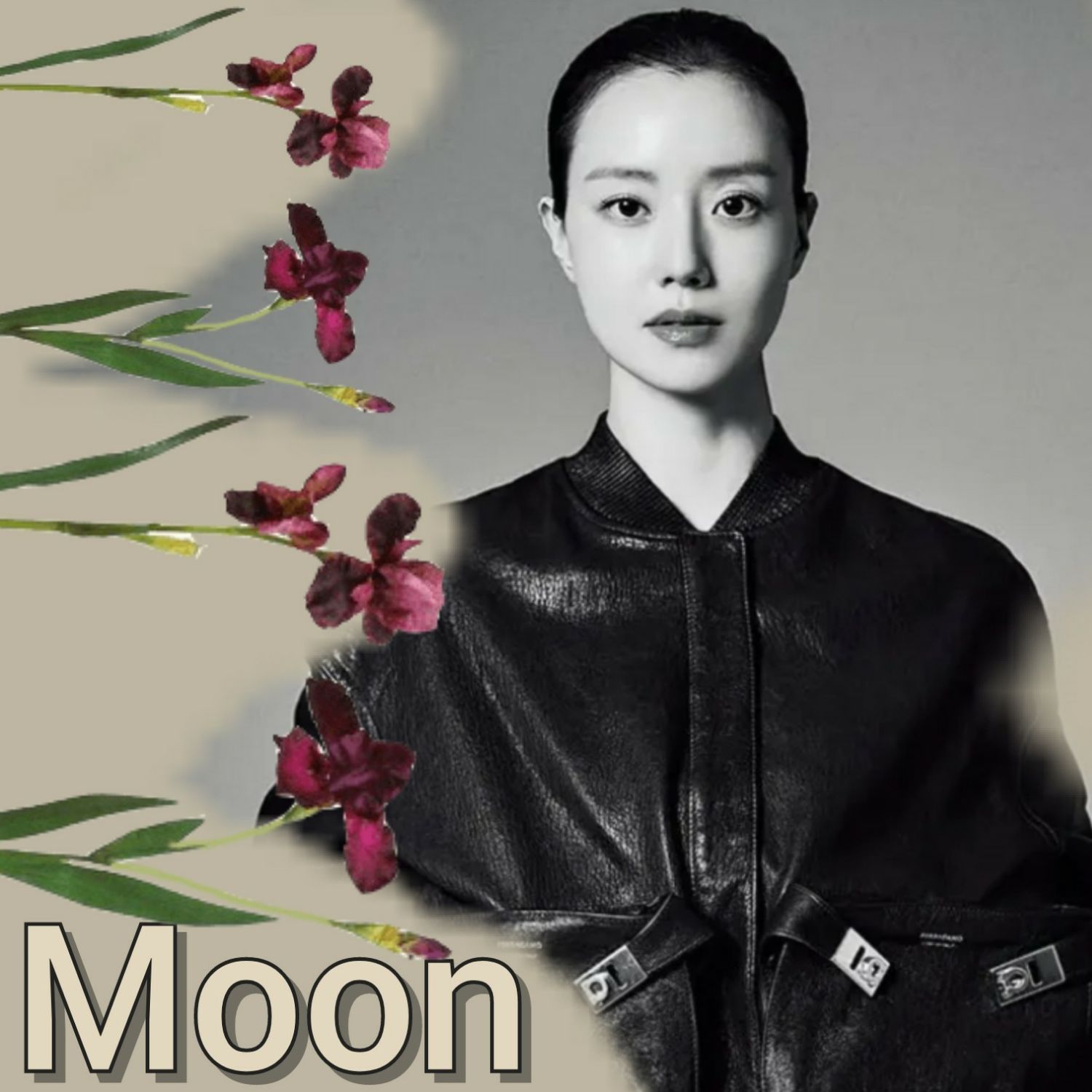 文彩元的最新照片