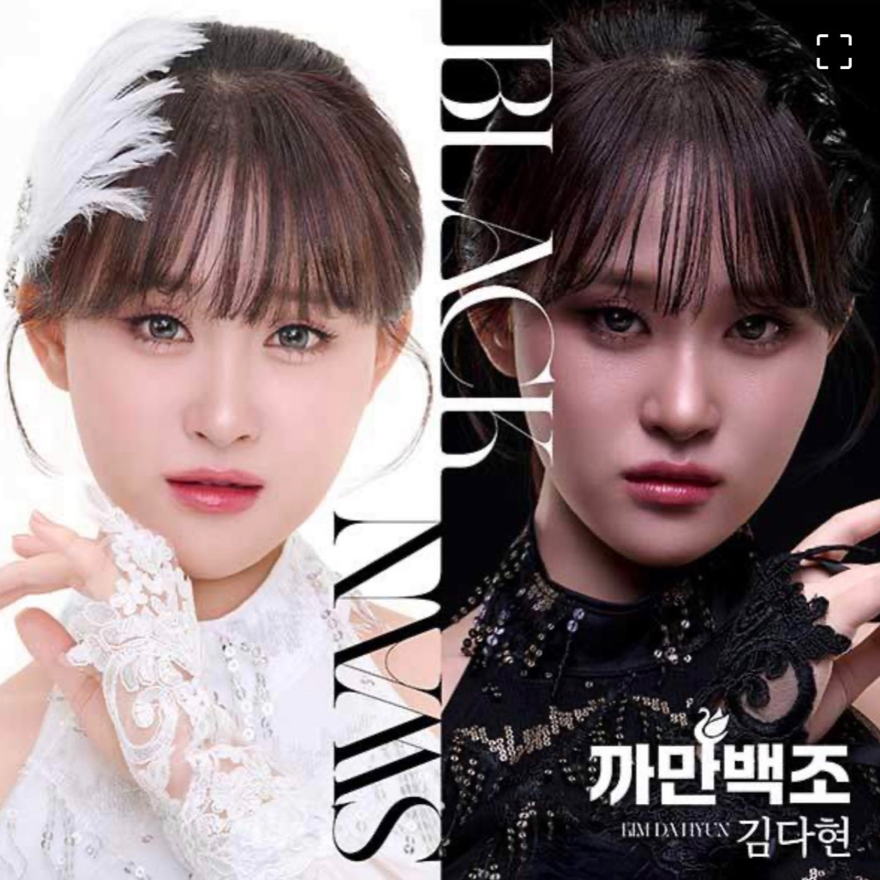 金多賢的幕後花絮