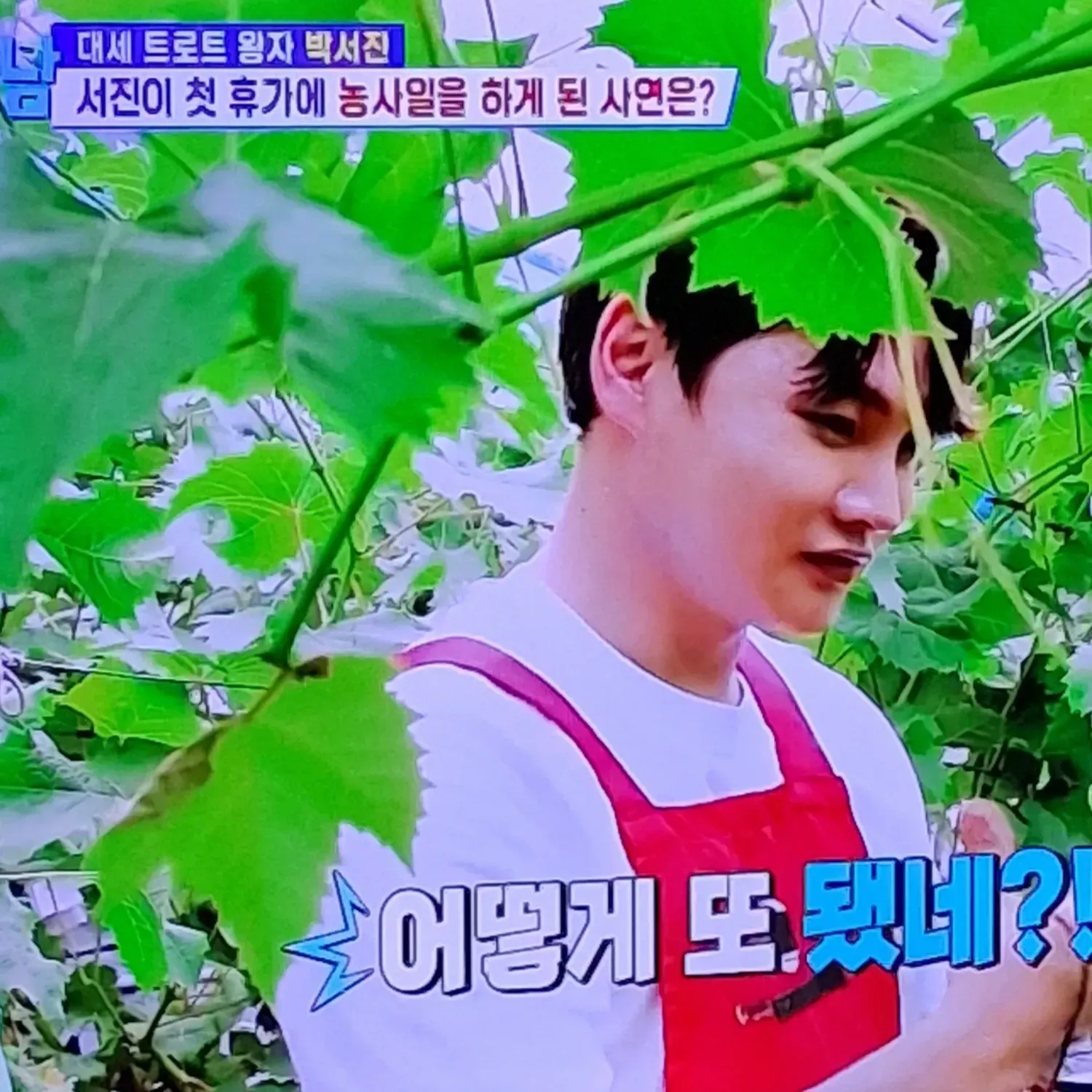 박서진의 최신 사진