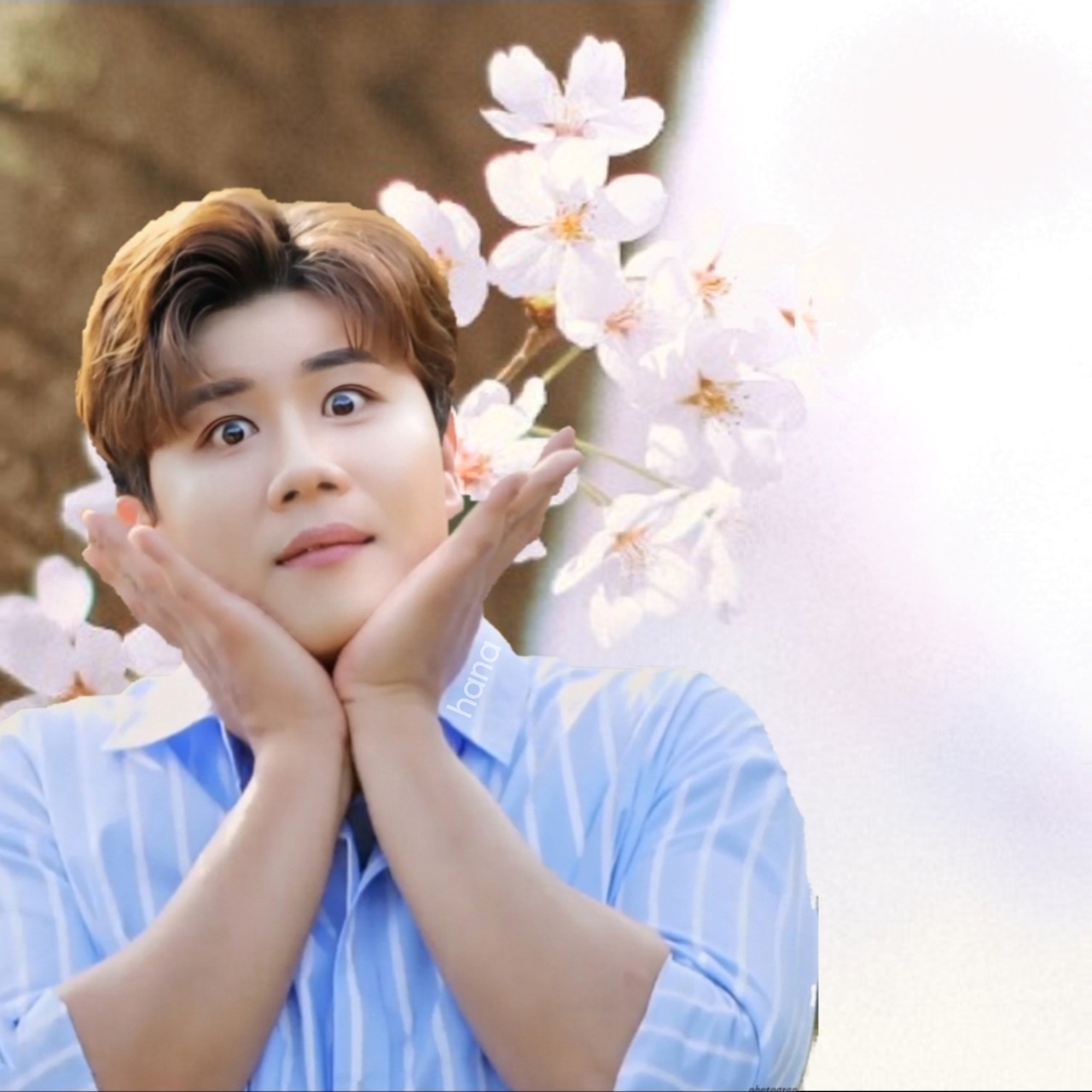 진해성의 비하인드 컷