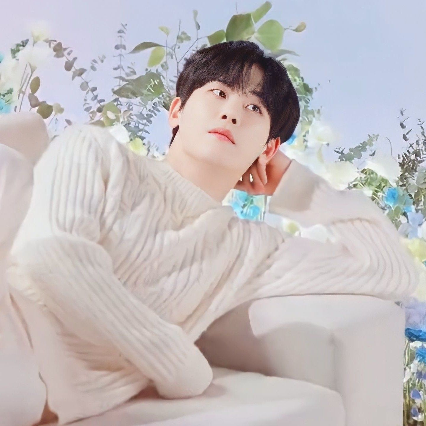 Cuplikan di balik layar dari Hoya