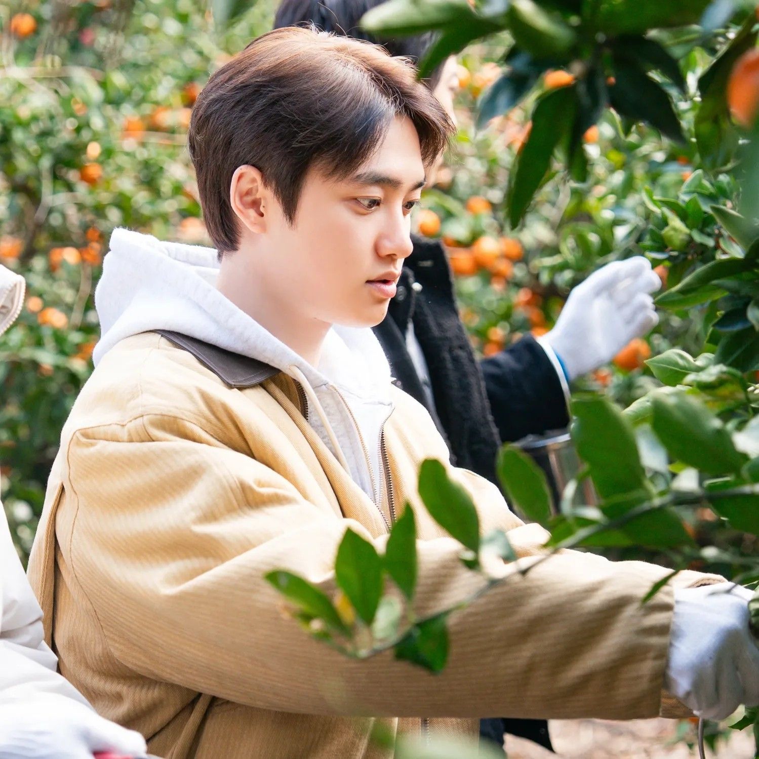 都暻秀 (D.O.)的幕後花絮