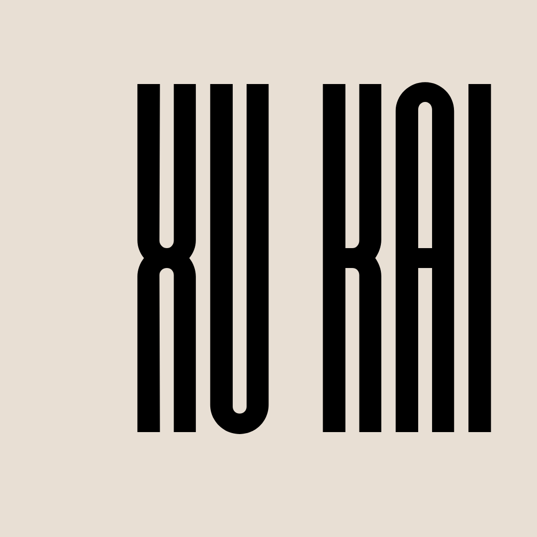 A moment captured by a fan of Xu Kai